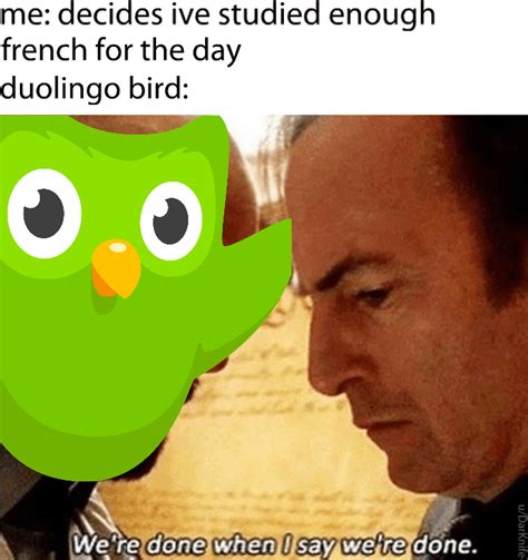 26 Duolingo Memes Thatll Strike Fear In Your Heart Funny Relatable