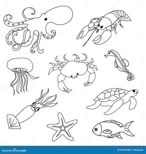 22 Underwater Sea Creatures Coloring Pages Homecolor Homecolor