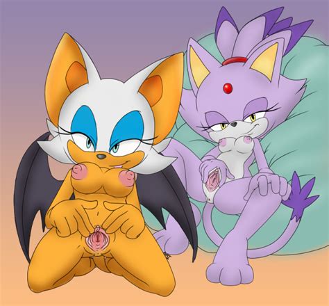 1513699 Blaze The Cat Rouge The Bat Sonic Team Holy Shit Thats A Lot