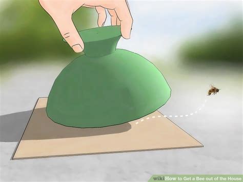 When a bumblebee stings, it injects a venom into its victim. 3 Ways to Get a Bee out of the House - wikiHow