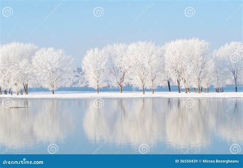 Winter Landscape With Reflection In The Water Stock Image Image Of