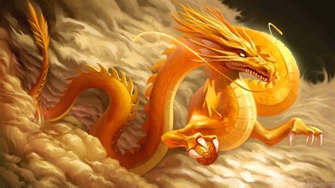 Golden Chinese Dragon Wallpapers Top Free Golden Chinese Dragon