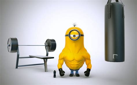53 gym hd wallpapers and background images. Minions Gym wallpaper | 2560x1600 | 581761 | WallpaperUP