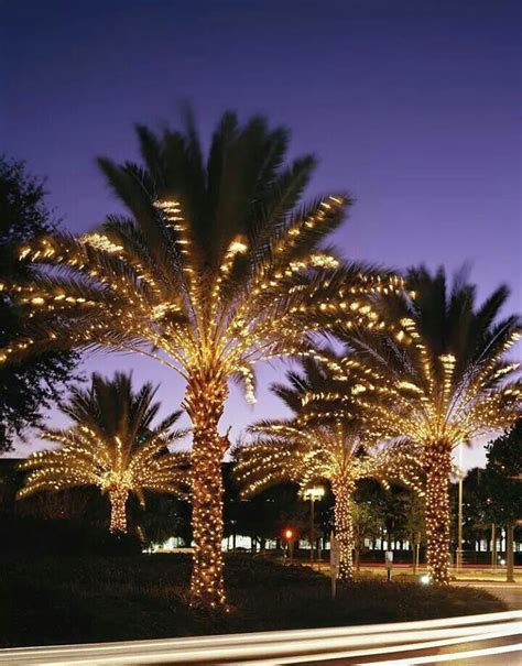 Palm Lights Palm Tree Lights Christmas Palm Tree Outdoor Christmas