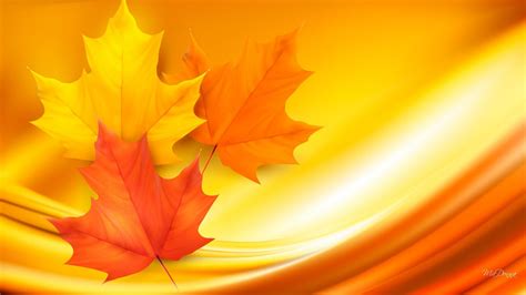 Autumn Maple Leaves Wallpapers Wallpaper Cave