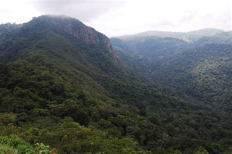 Afadjato is the highest mountain in ghana, at an altitude of 885 metres. One geographer on the job: A disordered report of an epic ...