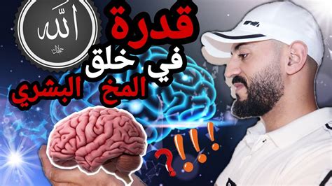 معجزة الخلق الكبرى🧠عجائب دماغ الإنسان الثمانية información sobre🧠el cerebro humano youtube