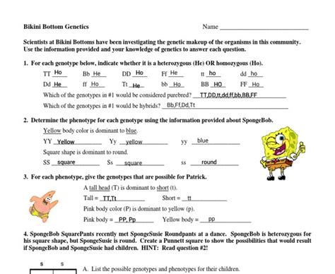 Use your notes to complete each definition. Spongebob Genetics Answer Key Page 1 - Name Bikini Bottom ...