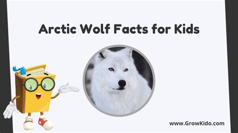 11 Amazing Arctic Wolf Facts For Kids Updated Facts