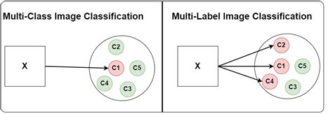 Medical Multi Label Classification With Pytorch Lightning