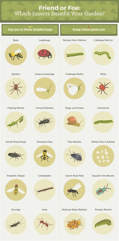 Easy Tips To Control Garden Pests