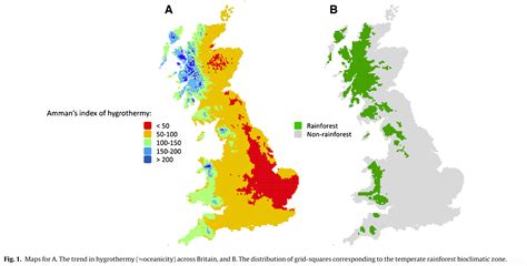 What Is A Temperate Rainforest Lost Rainforests Of Britain