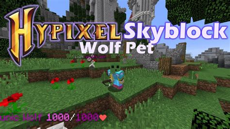 HYPIXEL SKYBLOCK WOLF PET - YouTube