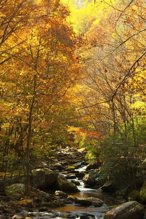 10 Prettiest Places For Fall Foliage In Tennessee Southern Living