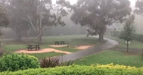 November Snow Seen At Mount Macedon Bendigo Advertiser Bendigo Vic