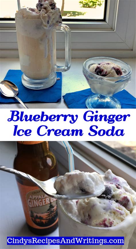 Blueberry Ginger Ice Cream Floats Cindys Recipes And Writings