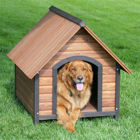 Step By Step Instruction On How To Build A Dog House Video Ezeliving