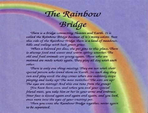 'rainbow bridge' is a lovely prose poem written for anyone who's suffered the loss of a beloved pet. Possum's Journal: June 2013