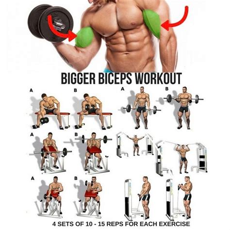 Biceps Workout Step By Step Guide Big Biceps Workout Biceps Training