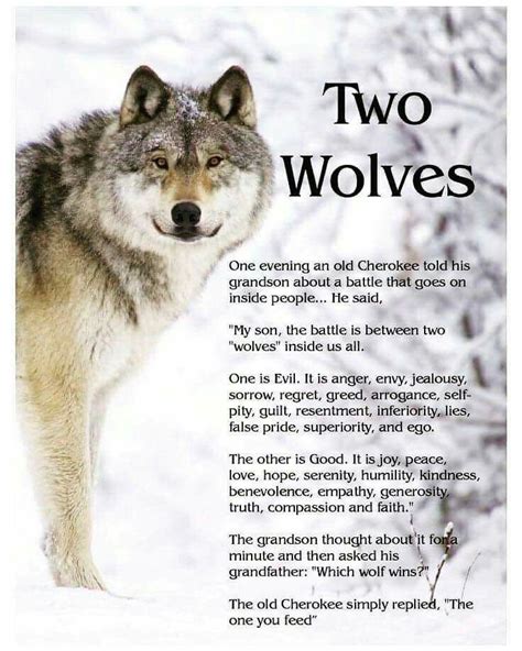 Two Wolves Great Quotes Love Quotes Inspirational Quotes