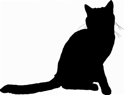 Silhouette Katze Kostenloses Stock Bild Public Domain Pictures