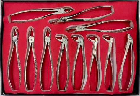 Extracting Forceps English Pattern Paytekht Company