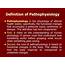 PPT  Introduction To Pathophysiology PowerPoint Presentation Free