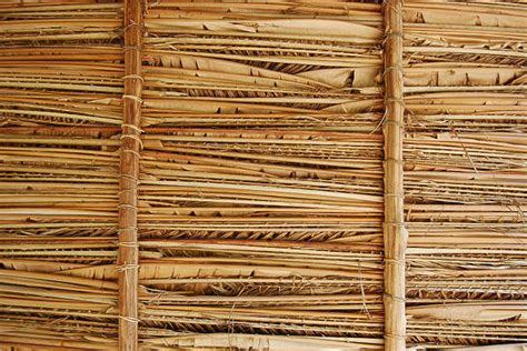 Thatched0050 Free Background Texture Roof Roofing Tropical Hut