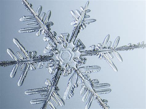 Snowflakes Under Microscope