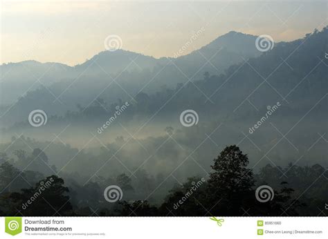 Stock Image Of Foggy Mountain In The Morning Stock Photo Image Of