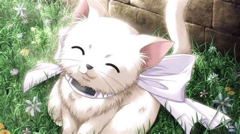 21 Cute Anime Animals Wallpapers Sachi Wallpaper