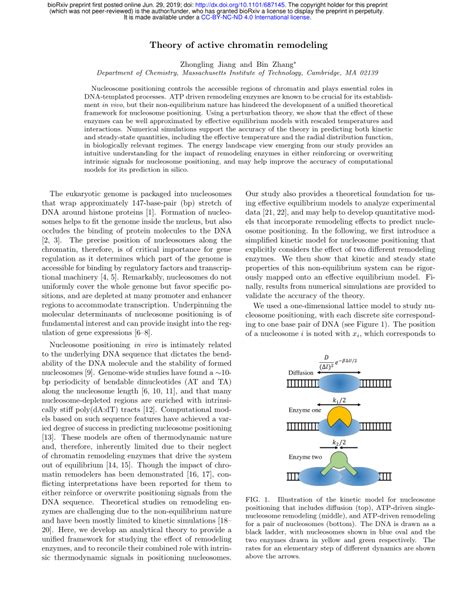 pdf theory of active chromatin remodeling