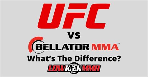 Ufc Vs Bellator Whats The Difference