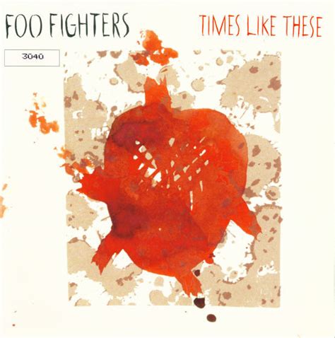 Foo Fighters Times Like These 2003 Vinyl Discogs