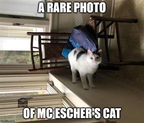 Mc Eschers Cat Imgflip