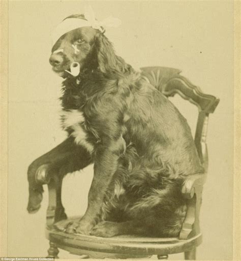 Creepy Victorian Era Photos Show Twisted Sense Of Pictorial Humour