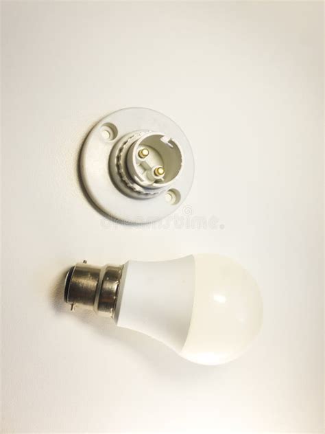 Light Bulb And Its Electric Fixture Stock Photo Image Of Electrician