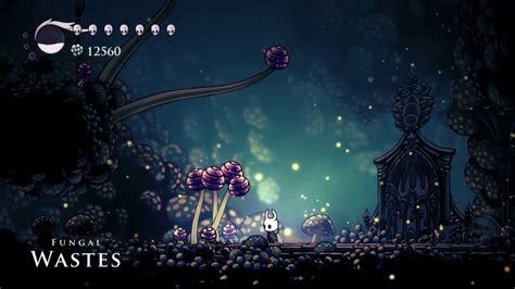 Hollow Knight Delicate Flower Quest Quick And Easy
