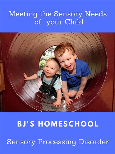 Bjs Homeschool Meeting The Sensory Needs Of Your Child Sensory