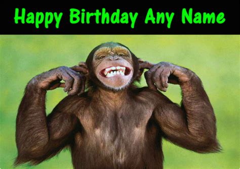 Funny Monkey Birthday Cards Birthdaybuzz