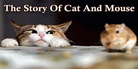 The Story Of Cat And Mouse Assignment Point