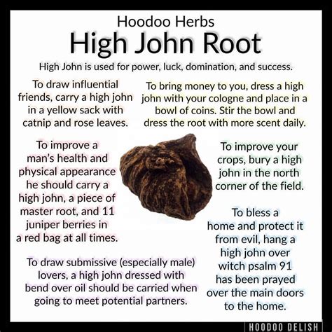 Ms Avi On Instagram Hoodoo Herbs High John Root One Of The Oldest And Most