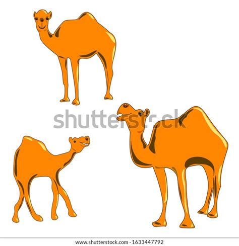 Silhouettes Three Camels Different Sizes Vector De Stock Libre De Regalías 1633447792