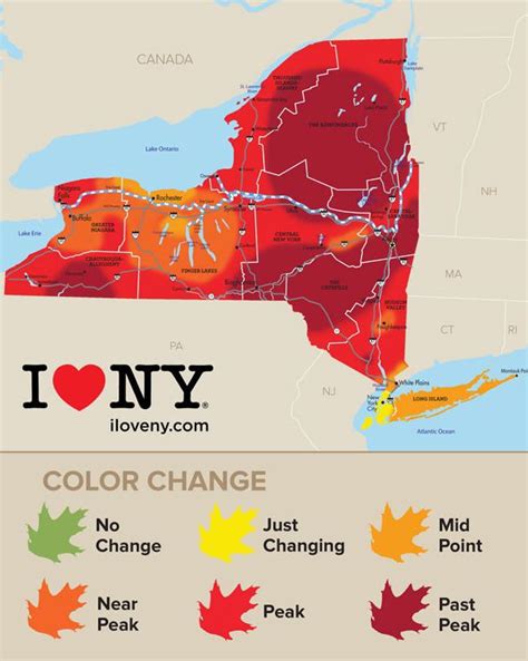 New York State Fall Foliage Report Local News
