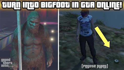 How To Play As Bigfootsasquatch In Gta 5 Online Peyote Plant Location