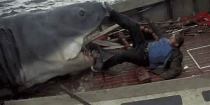 Jaws Death Steven Spielberg Shark Quint Into