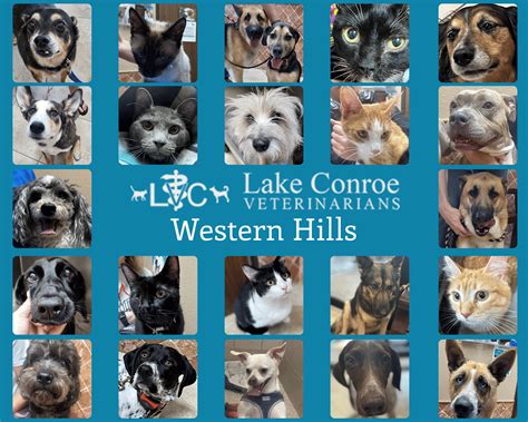 Western Hills | Lake Conroe Veterinarians