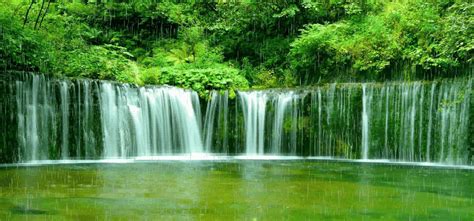 We've gathered more than 5 million images uploaded by our users and sorted them by the most popular ones. 25043B40576CD2BA20D778 (945×442) | Wallpapers natureza ...