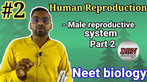 Human Reproduction Lecture 2 Class 12 Neet Biology Youtube
