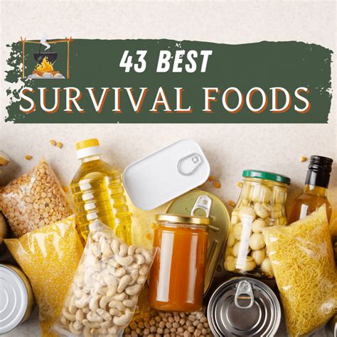 Top 43 Best Survival Foods To Store The Ultimate Guide